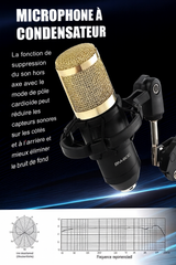 ✨ Le Studio que Vous Attendiez… Enfin à Portée de Main